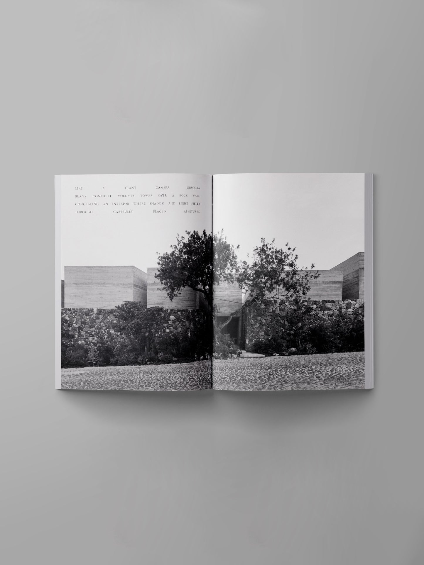 Ark Journal: Volume XII - Autumn Winter 2024