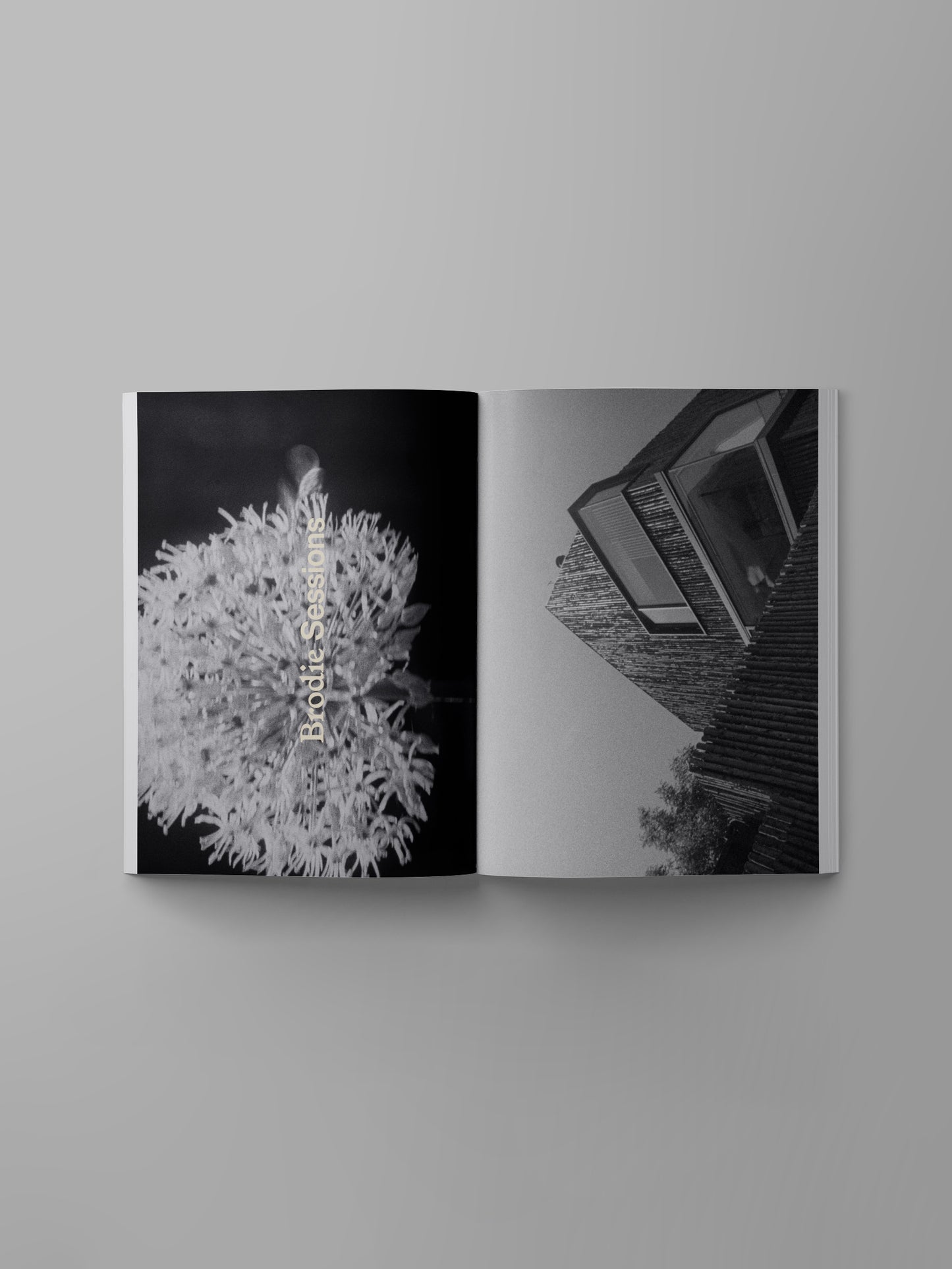 Ark Journal: Volume XIIl - Spring Summer 2025