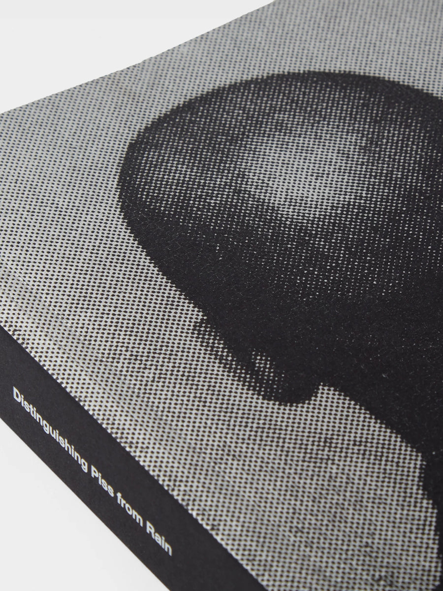Glenn Ligon: At skelne pis fra regn; Skrifter og Interviews