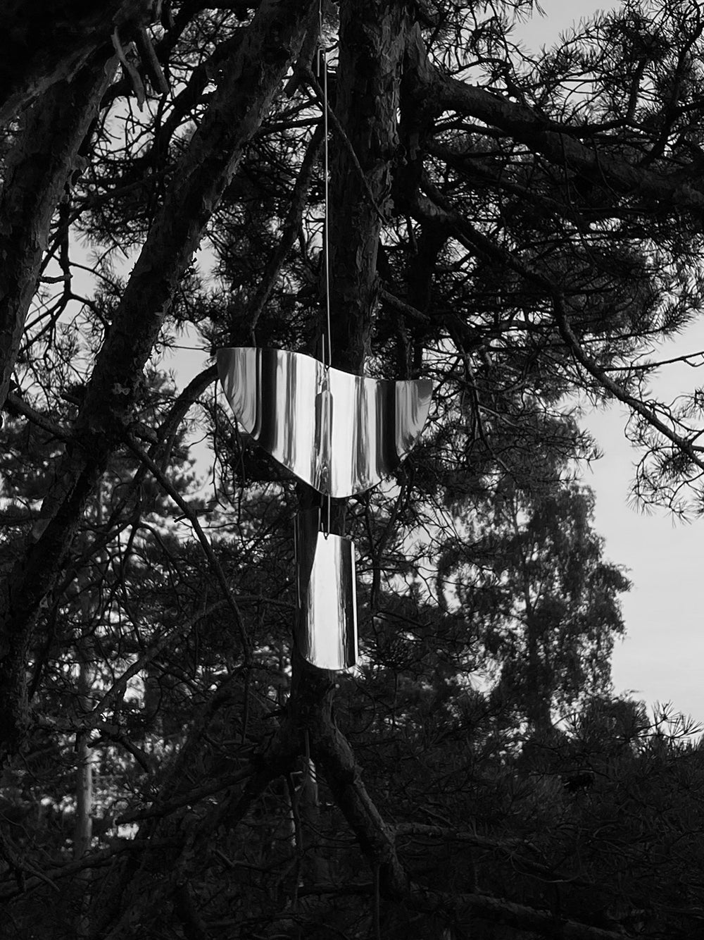 Sun Catcher