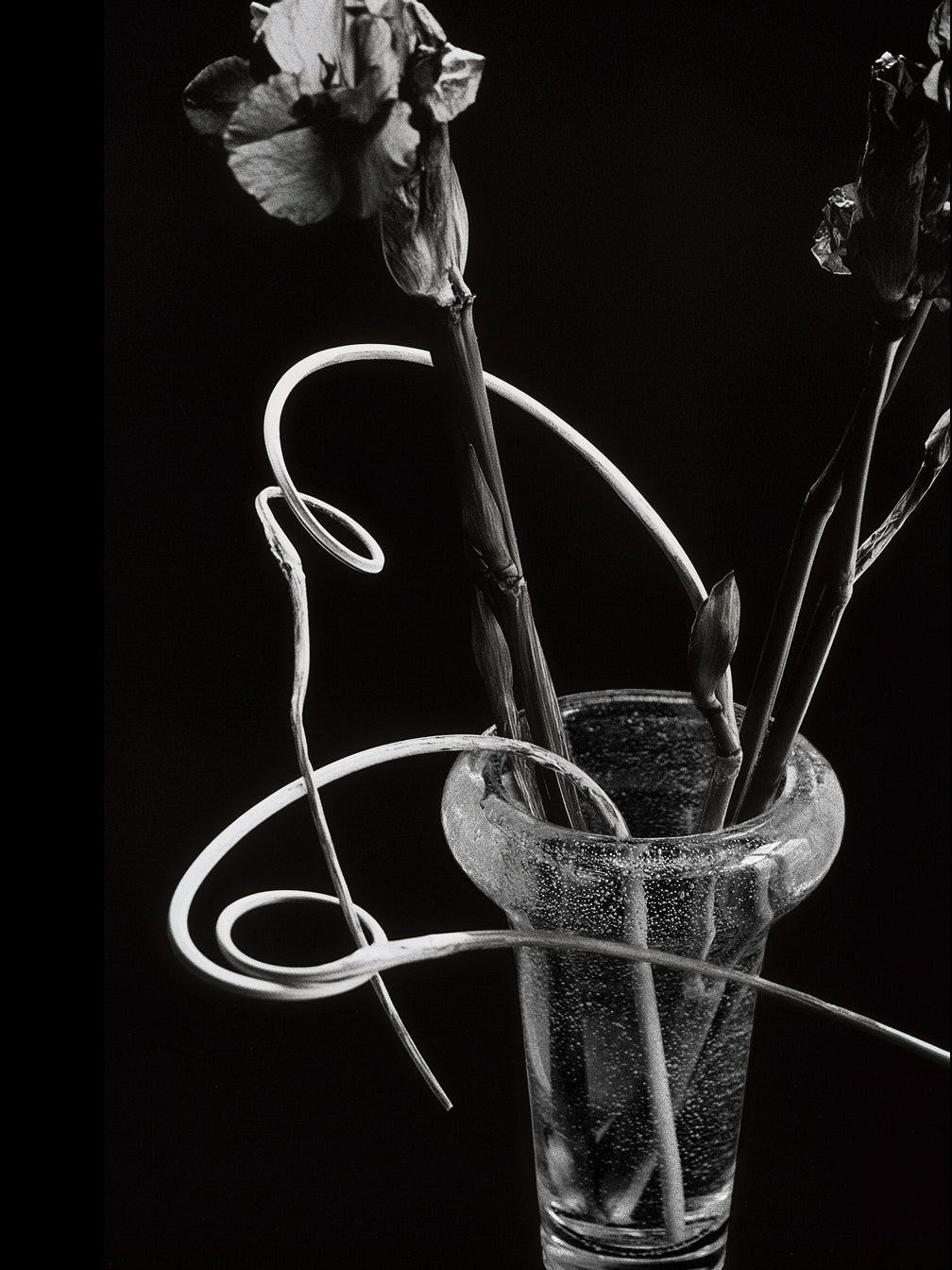 Conical Vase - H30