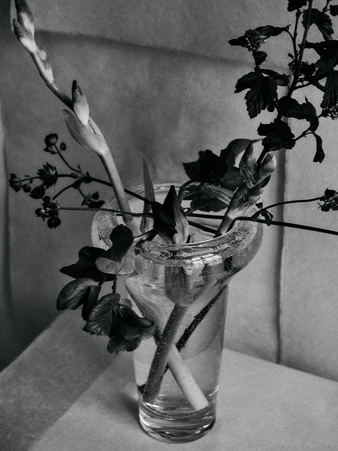 Conical Vase - H30