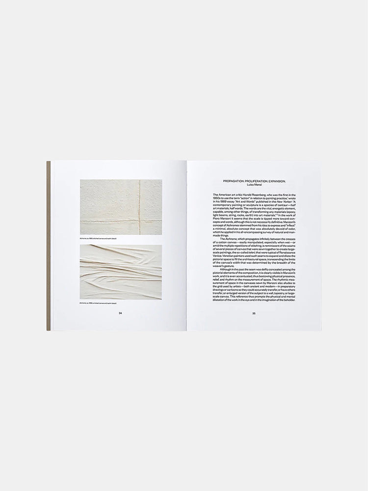 Piero Manzoni: The Twin Paintings