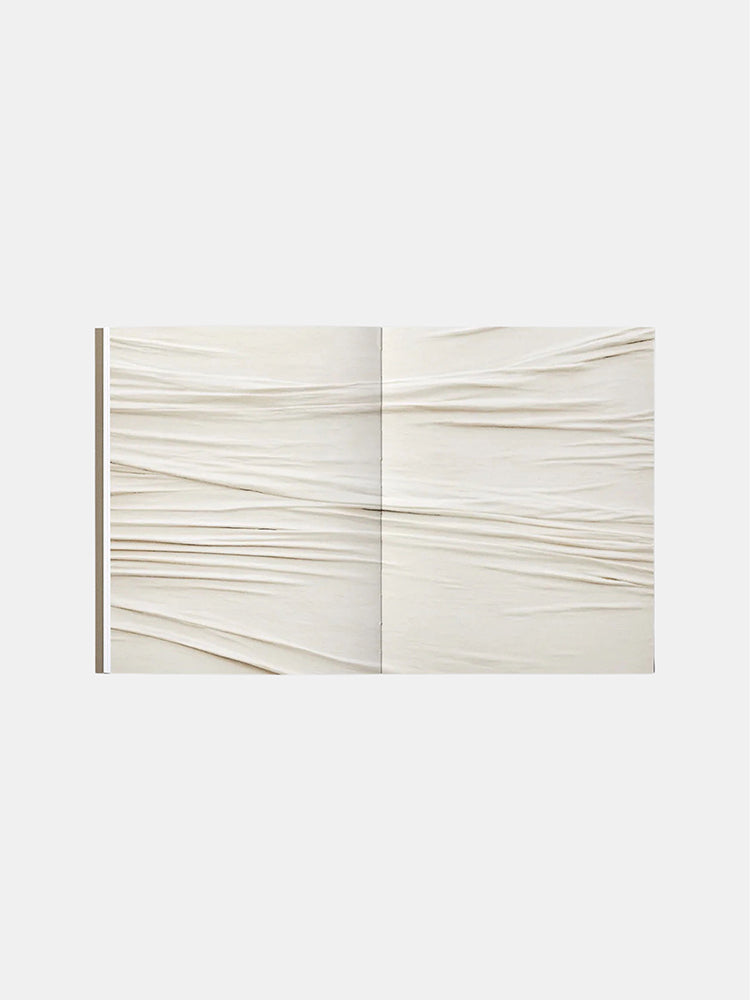 Piero Manzoni: The Twin Paintings