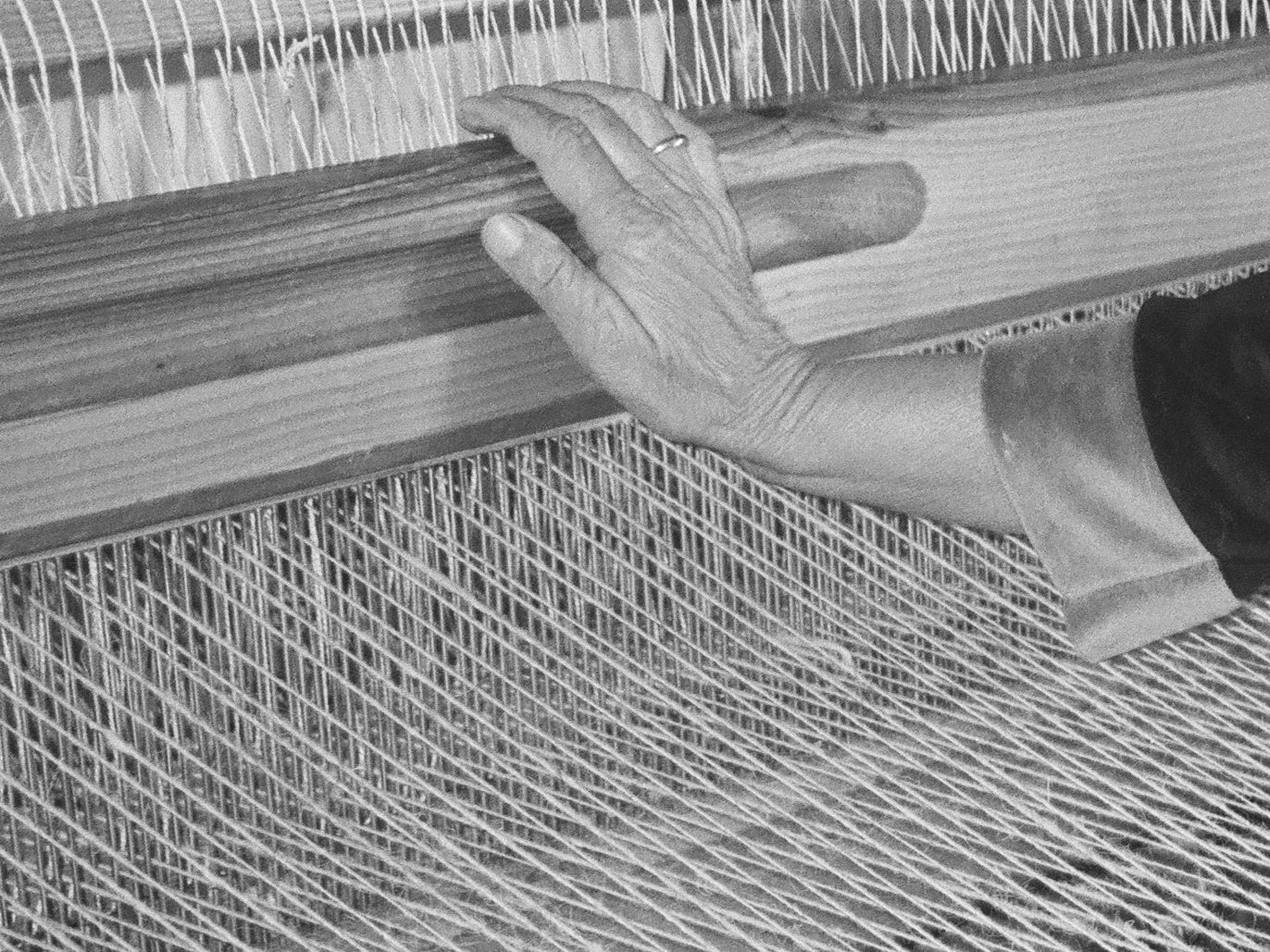 Arren Rug