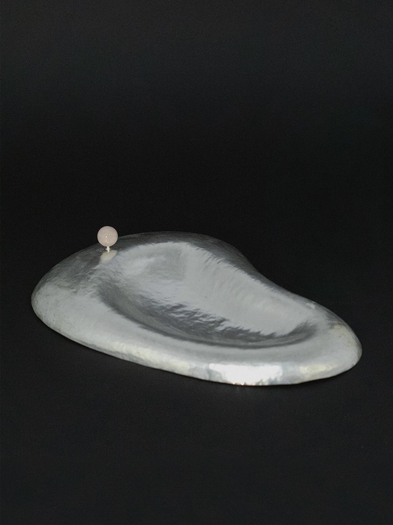 Ear Plate