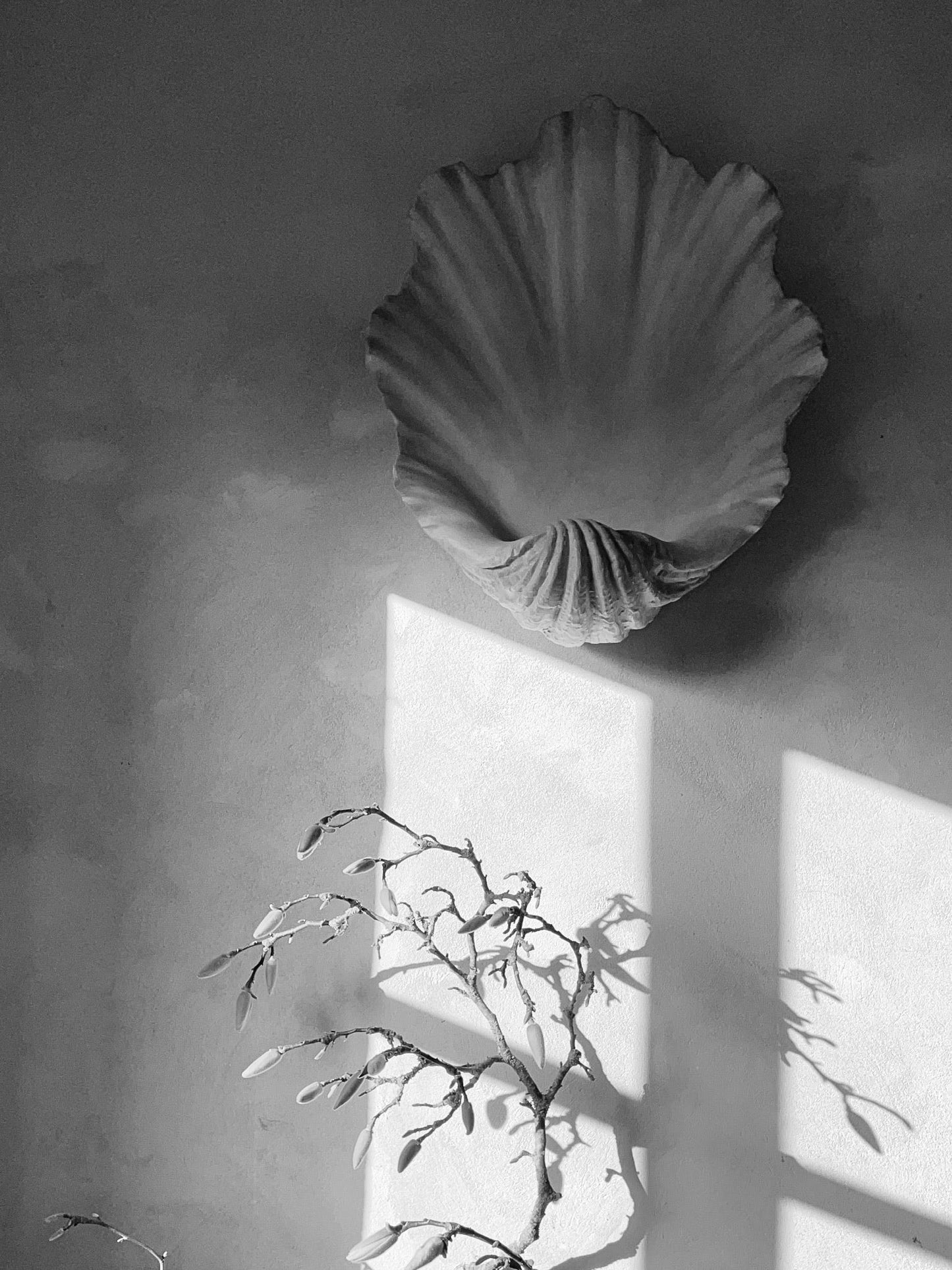 Scallop Shell Væglampe - Antik Gips