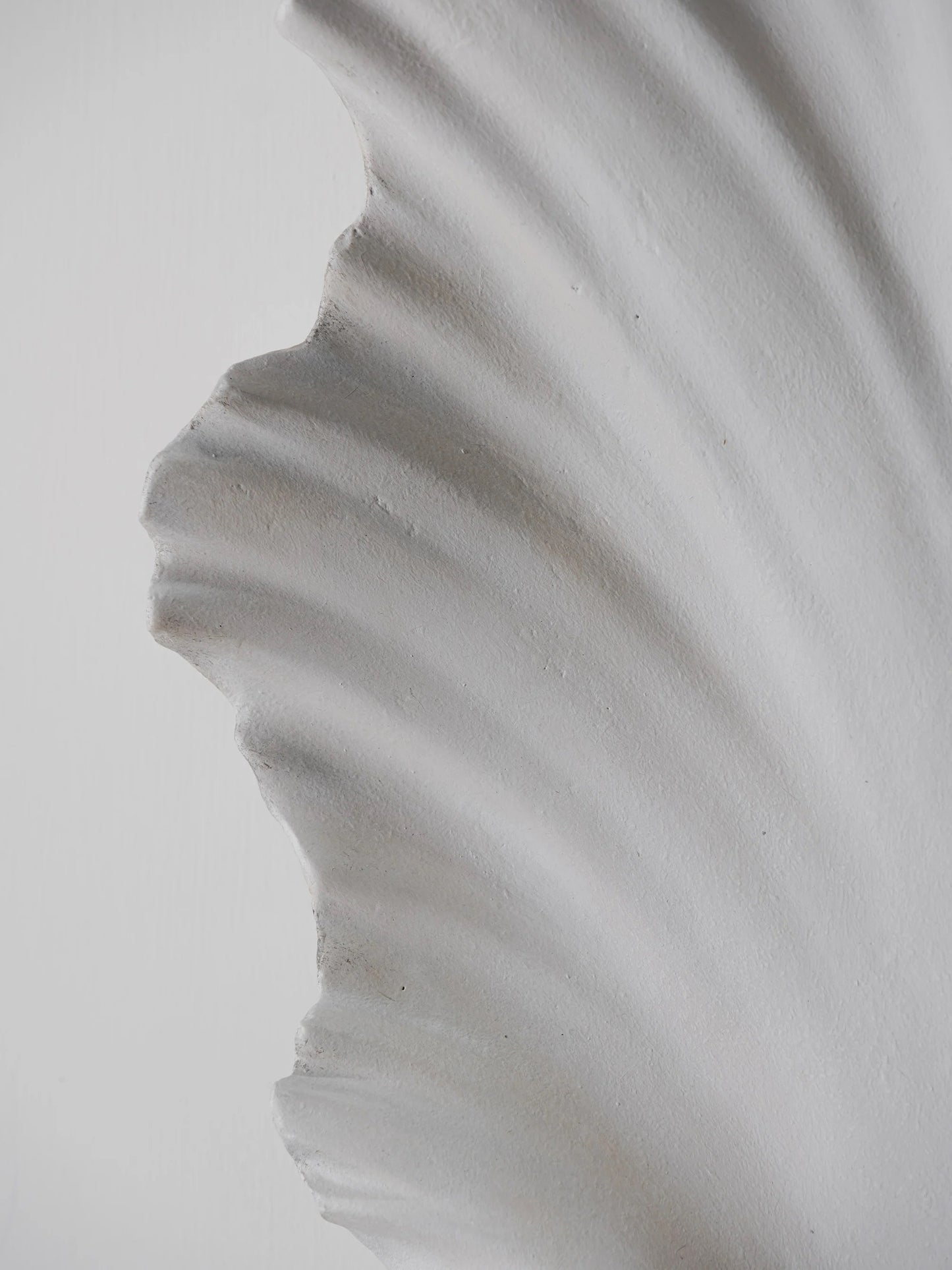 Scallop Shell Væglampe - Antik Gips